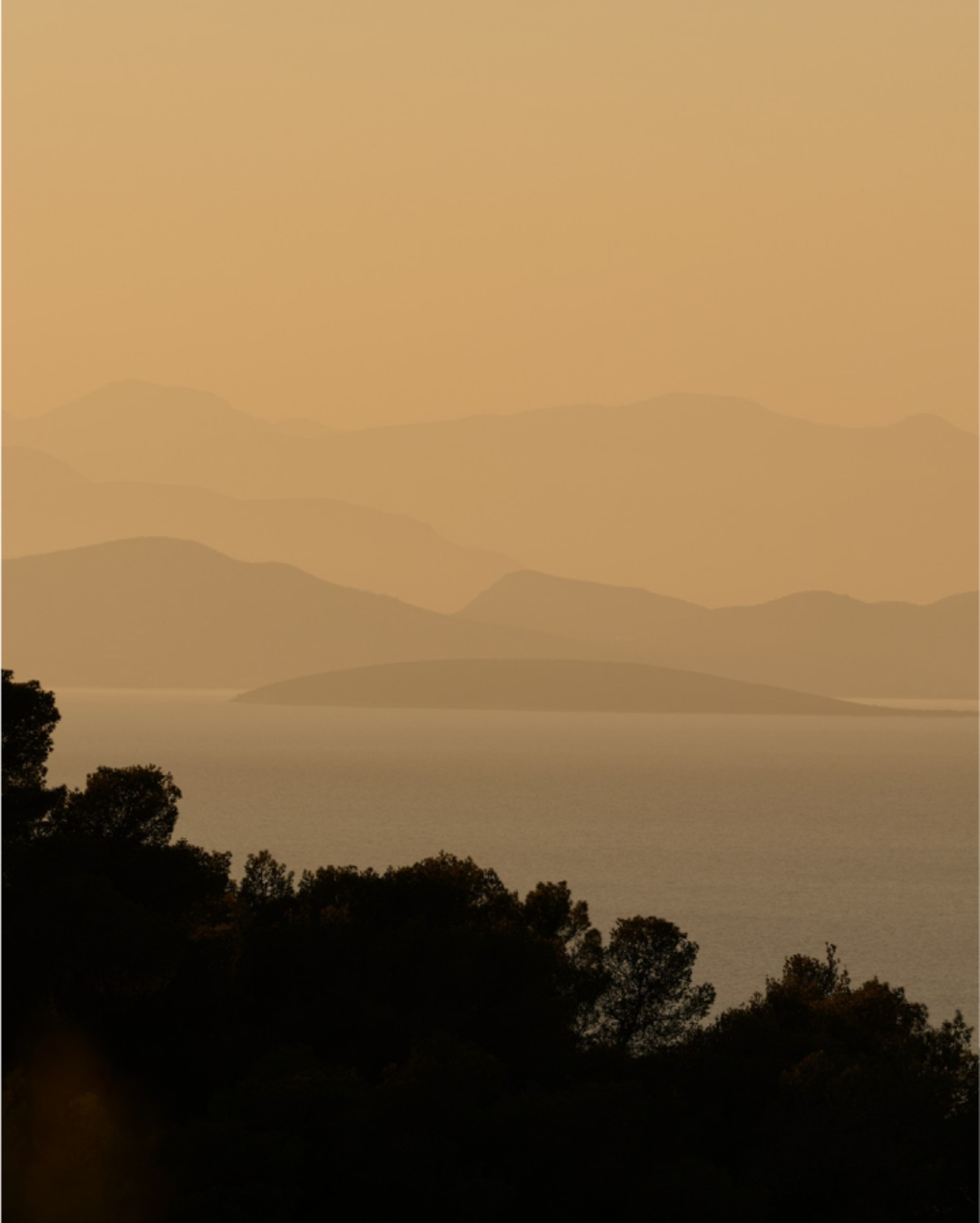 Golden sunset over calm sea with layered mountain silhouettes and dark forest in the foreground.