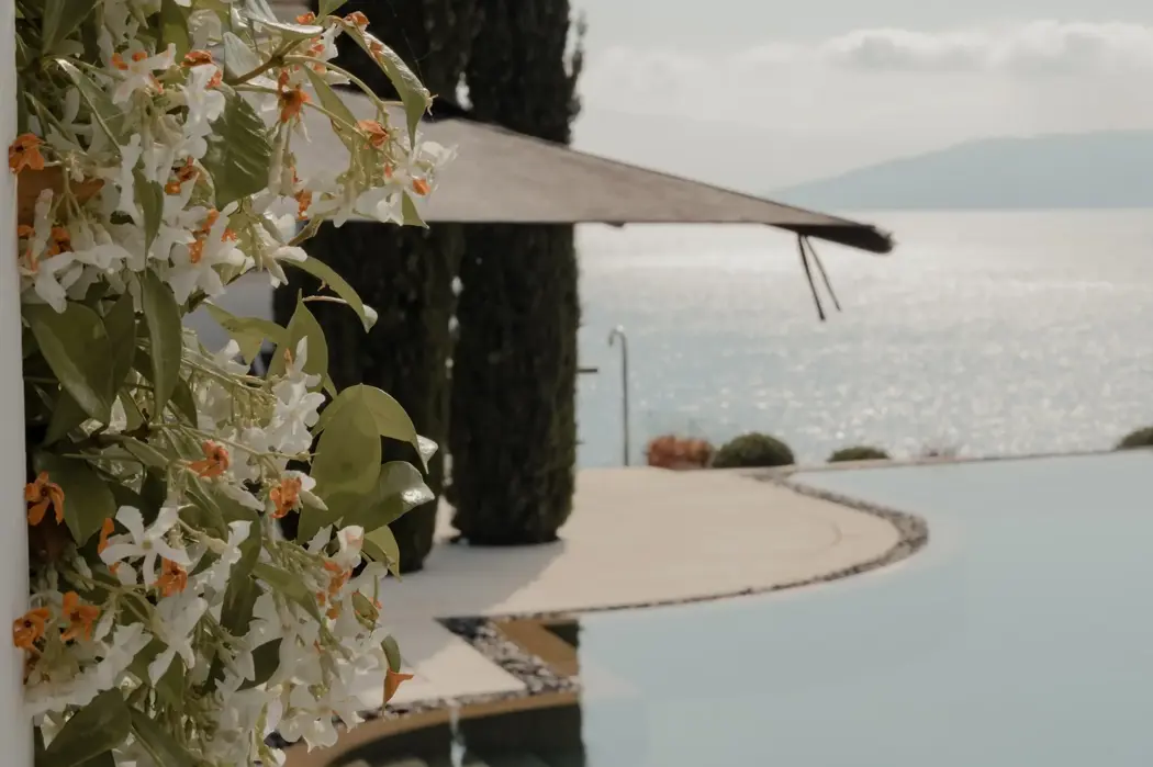 Gros plan sur des fleurs de jasmin blanches à côté d’une piscine à débordement surplombant la mer calme, encadrée par de hauts cyprès sous la douce lumière de l’après-midi.
