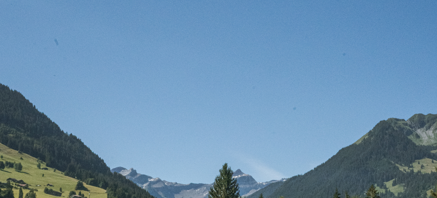 Ultima Hotel Gstaad view Summer