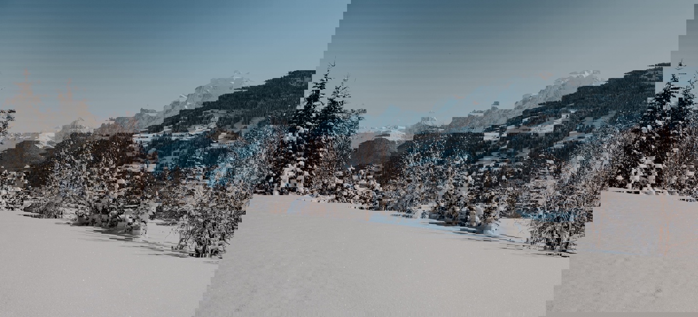 A panoramic winter landscape of snow-covered trees and rolling alpine hills, with distant mountain peaks rising beneath a clear blue sky.