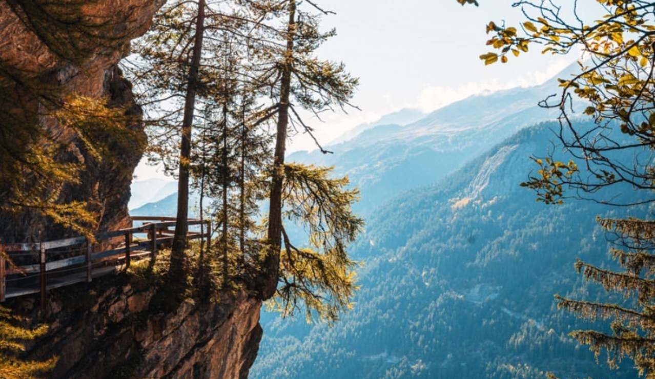 Sunlight filters through pine trees on a cliffside trail overlooking forested alpine valleys.